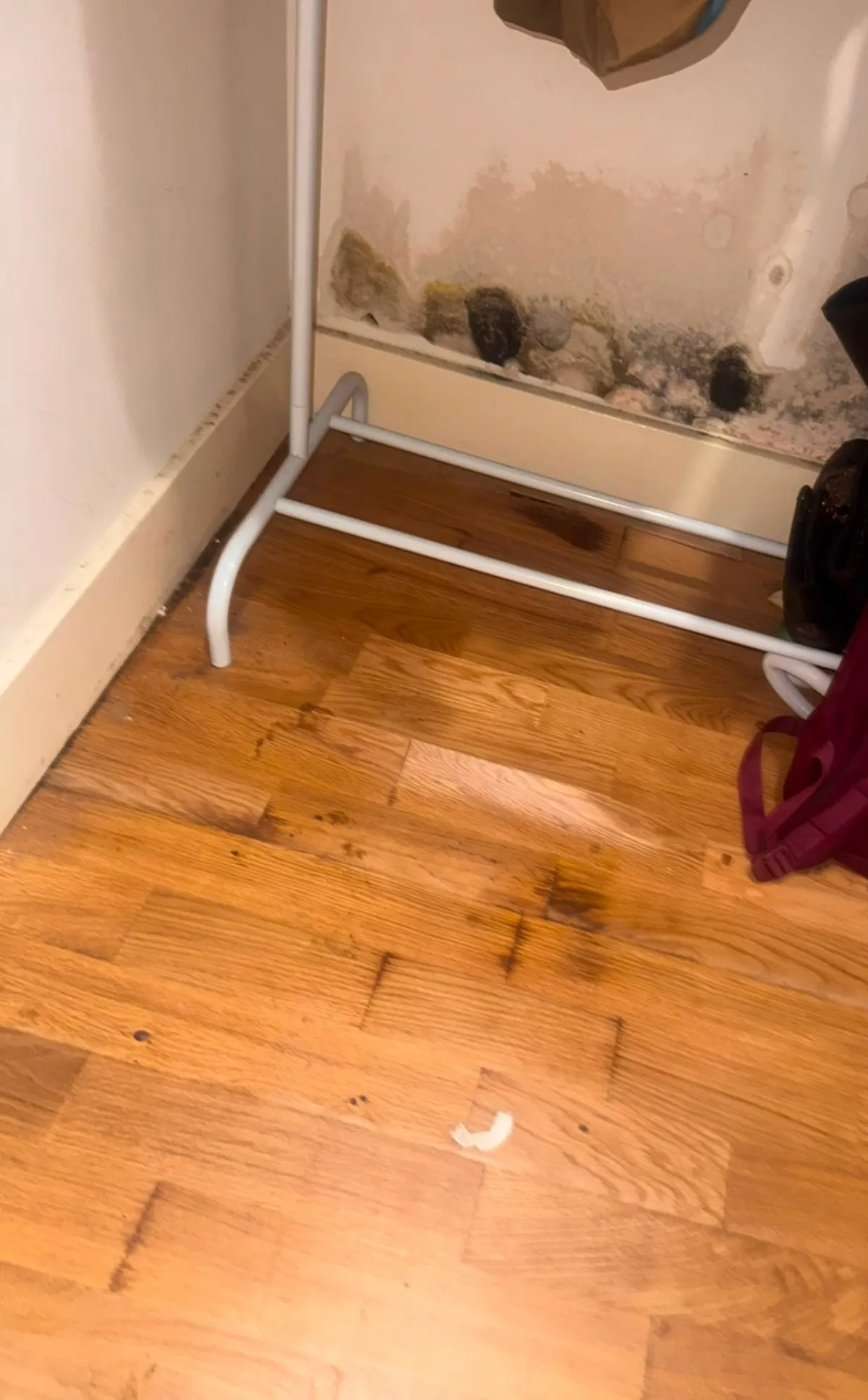 Cupboard wall with dark patches and a tide mark above the skirting, and darkened boards on the wood floor below