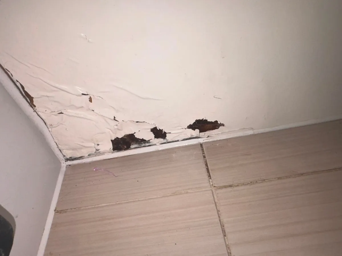 Painted wall with bubbled, peeling paint and dark brown patches above a skirting board and a tiled floor