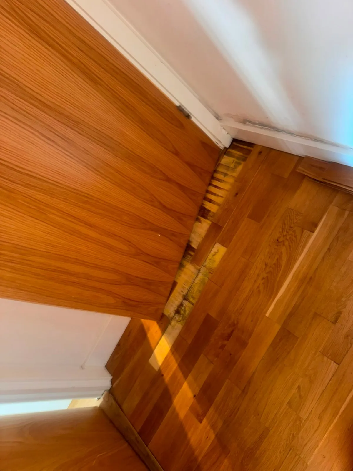 Gap at the edge of a wood floor where raised boards show yellow-brown staining on their exposed edges