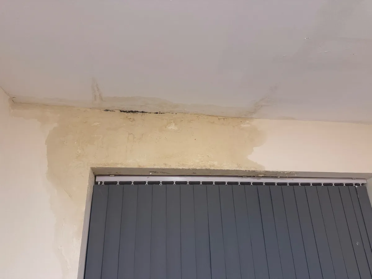 Ceiling and wall junction above a window blind with brown tide marks and a line of dark spots along the edge