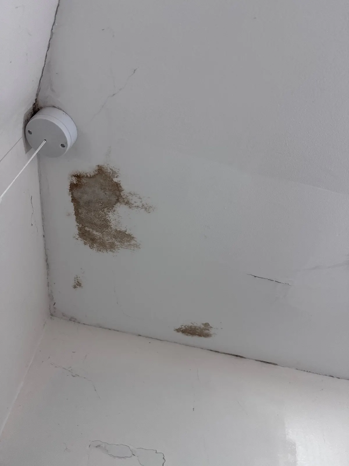 Brown stained patches on a white ceiling beside a pull-cord switch fixed in the corner of the room