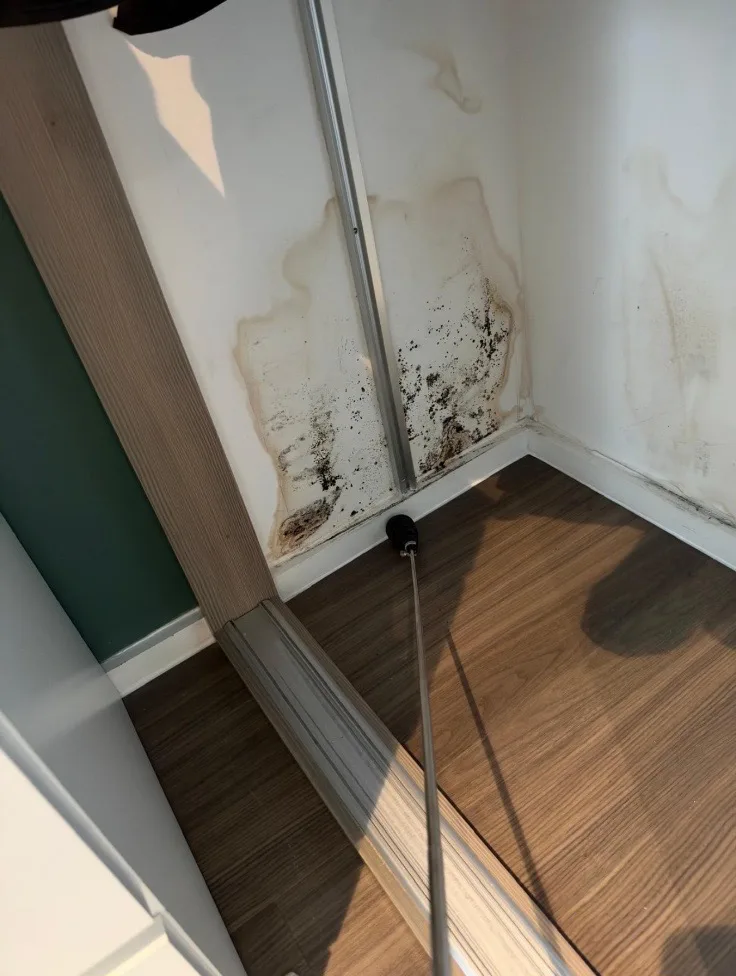 Wall corner beside a sliding door track with black mould and brown tide marks above the skirting, a metal probe on the floor